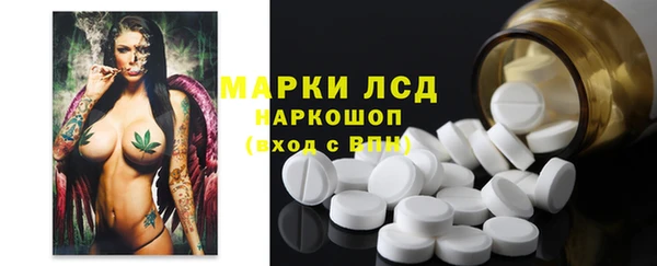 стафф Аркадак