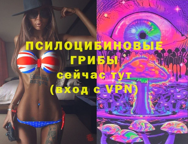 стафф Аркадак