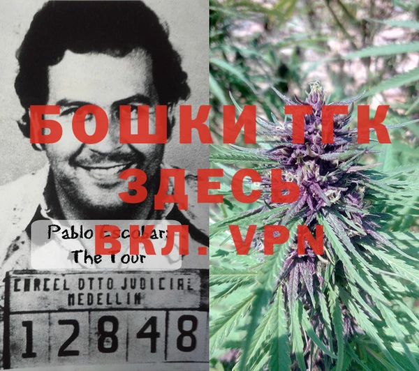 стафф Аркадак